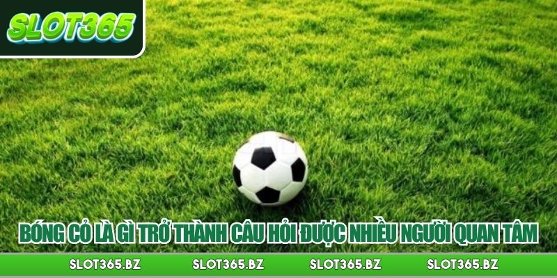 Bóng cỏ là gì trở thành câu hỏi được nhiều người quan tâm