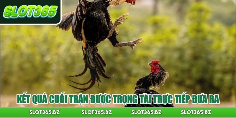 Kết quả cuối trận được trọng tài trực tiếp đưa ra