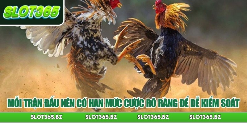 Mỗi trận đấu nên có hạn mức cược rõ ràng để dễ kiểm soát