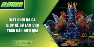 Luật chơi đá gà