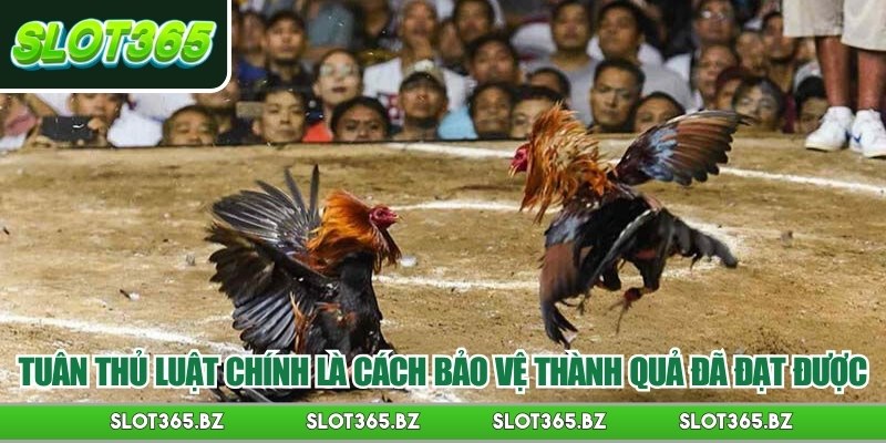 Tuân thủ luật chính là cách bảo vệ thành quả đã đạt được